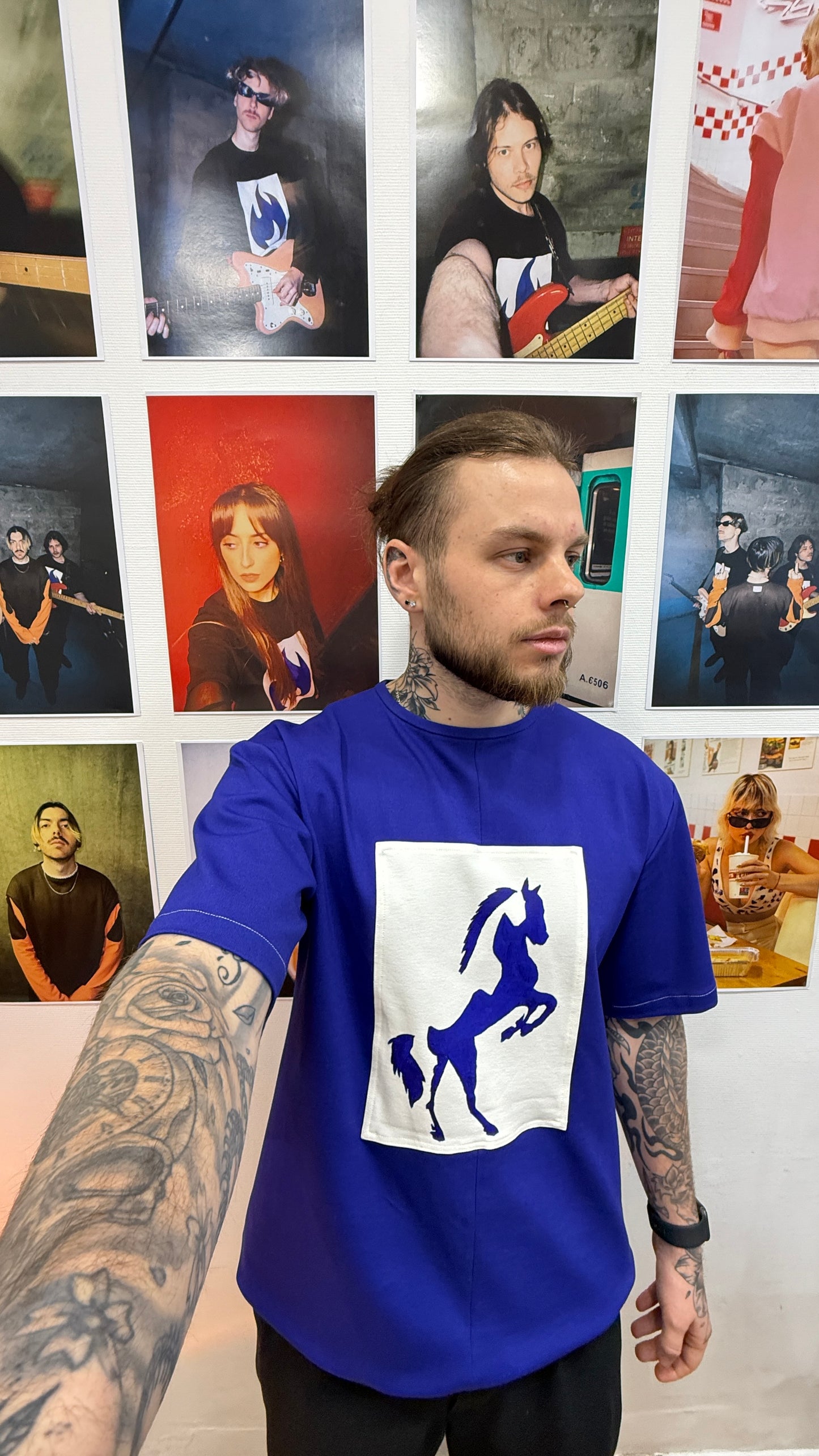 Full blue horse